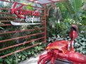 Makan Seafood Paling Worth-It: Kurnia Seafood Hadir Membuka Cabang di Surabaya